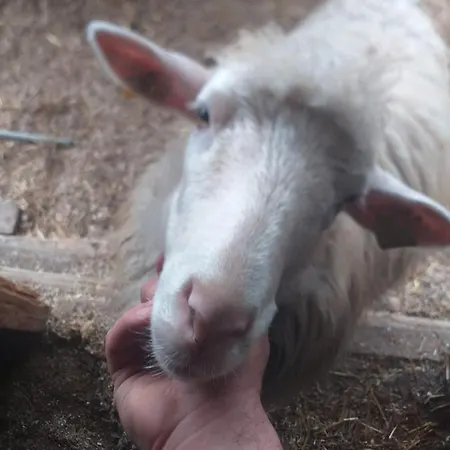 아파트 Agrifarm La Corte